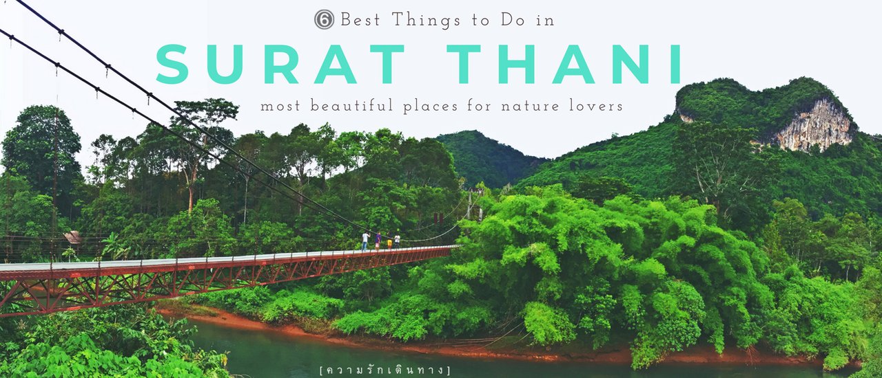 cover 6 Must-Do Things in Surat Thani, Thailand