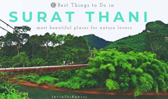 Cover 6 Must-Do Things in Surat Thani, Thailand...