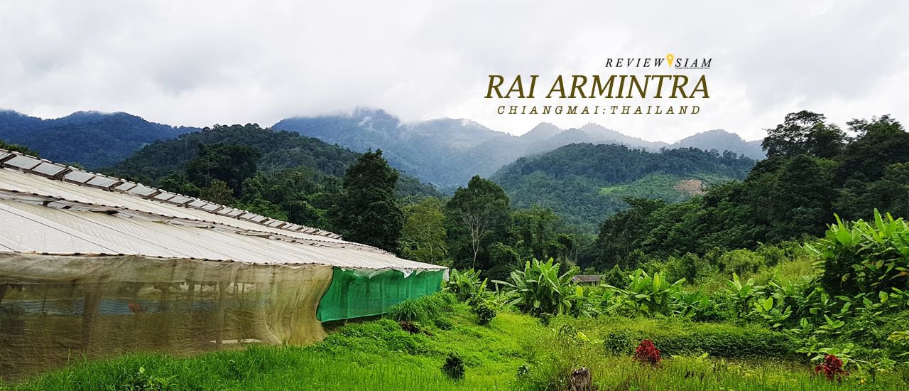 cover Amila's Farm: Happiness, Green