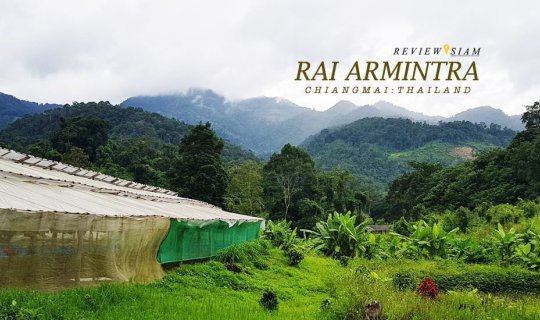 cover Amila's Farm: Happiness, Green
