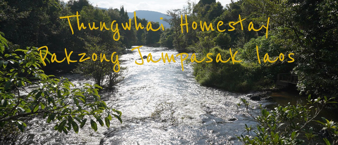 cover "Tung Wai Homestay" is a semi-resort style accommodation located near Khao Luang, Pak Song, Southern Laos.