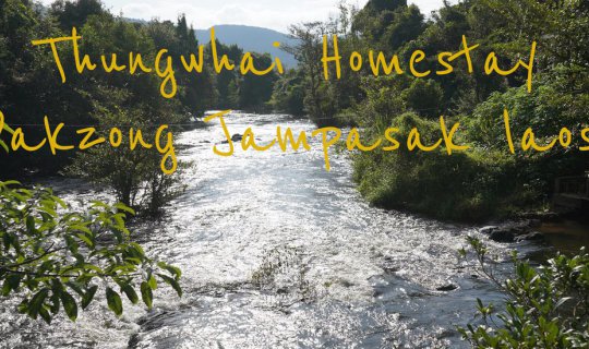 Cover "Tung Wai Homestay" is a semi-resort style accommodation located nea...