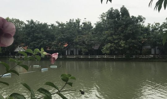 cover "Chotika Thara Resort," a tranquil haven nestled amidst verdant fields, beckons travelers on their journey to the cascading waterfalls of Nakhon Nayok.