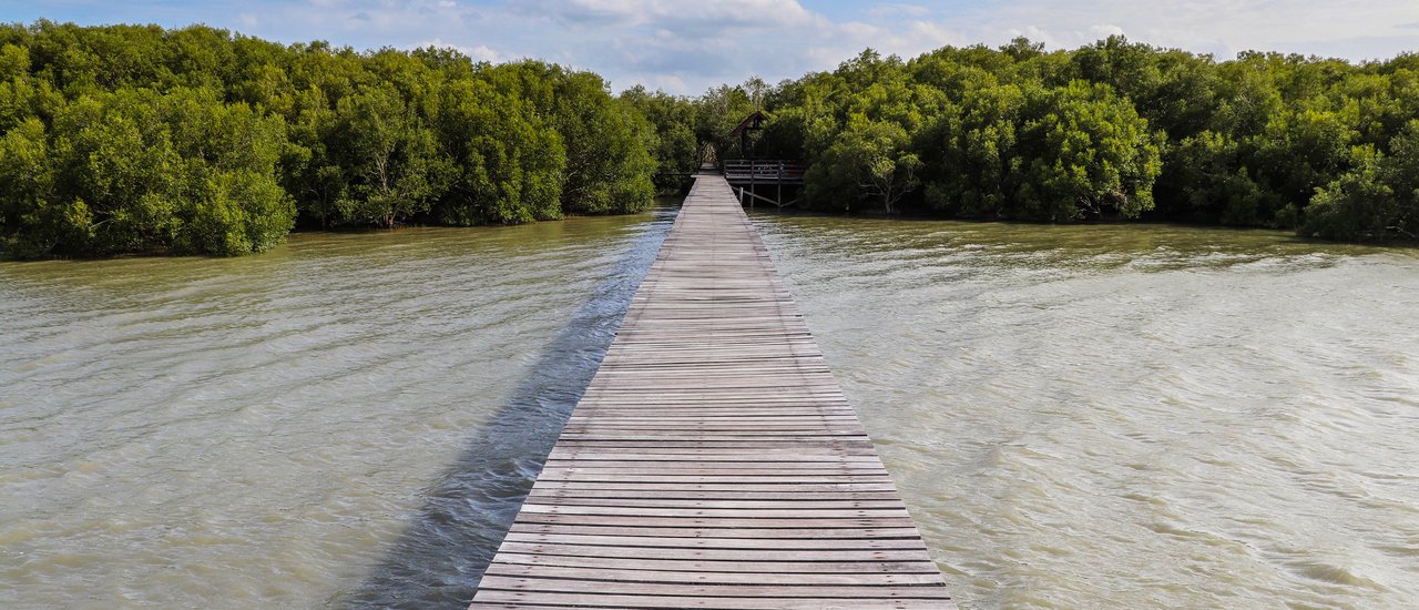 cover Community of Laem Phak Bia, Phetchaburi Province, Thailand