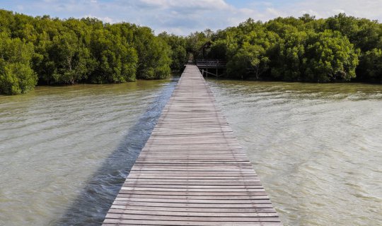 cover Community of Laem Phak Bia, Phetchaburi Province, Thailand