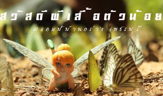 cover Let's go find butterflies together. (Ban Krang, Phetchaburi)