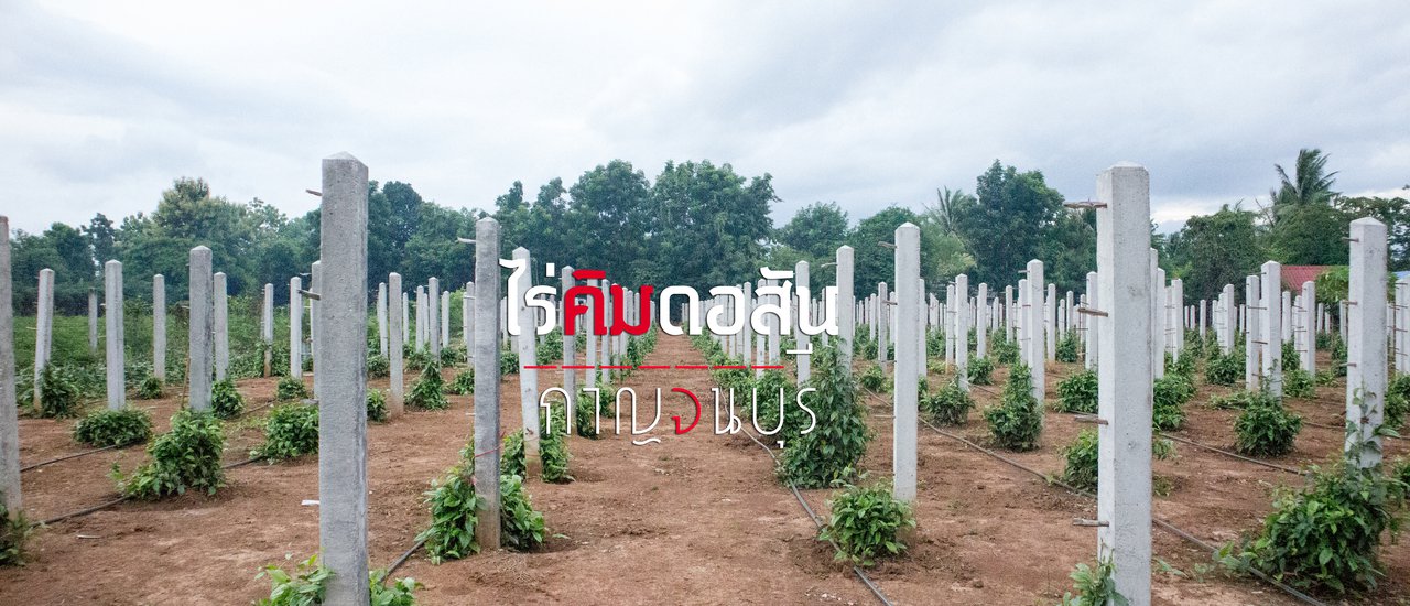 cover Farmers' Children Visit "Kim Dosan Farm" in Kanchanaburi