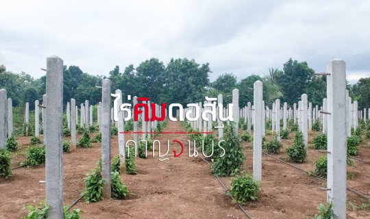 cover Farmers' Children Visit "Kim Dosan Farm" in Kanchanaburi