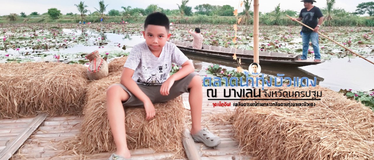 cover "Red Lotus Floating Market in Bang Len, Nakhon Pathom: A Check-in Point! Immerse Yourself in the Ambiance of Rice Fields and Red Lotuses"