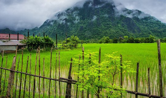 cover Chumphon was too lonely, so I had to go to Vang Vieng.