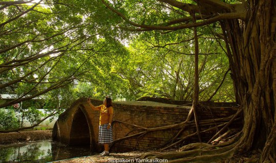 cover Wat Borom Phuttharam, Ban Dinso Bridge: A Trendy Destination for Friends