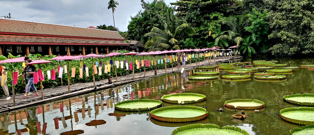 cover Admire the beautiful temple at Wat Chet Lin, Saphan Toa, a historical pond paired with the city of Chiang Mai.