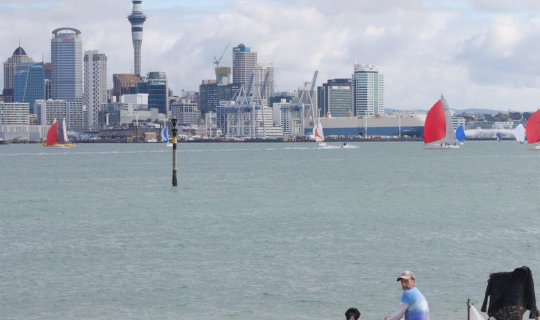 Cover Study language in Auckland, New Zealand for 6 weeks....