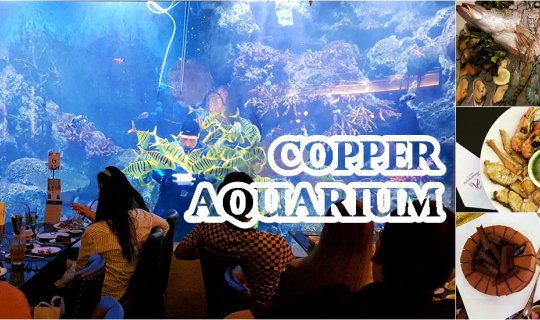 cover Enjoy a delightful dinner while watching the fish at Copper Aquarium Restaurant.