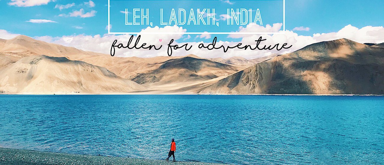 cover I left my heart in Leh... (A woman's guide to adventurous travel in Leh with a touch of wellness)