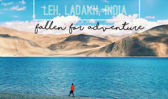 Cover I left my heart in Leh... (A woman's guide to adventurous travel in ...