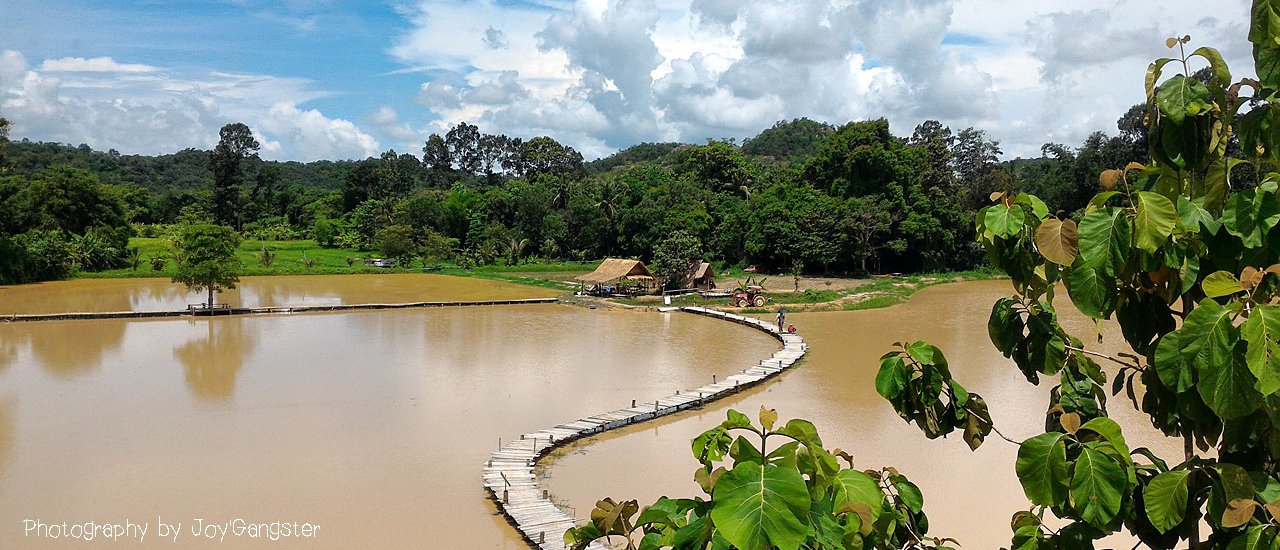 cover The Tung Nam Mui Bridge in Nakhon Nayok on a Day Without Rice Fields