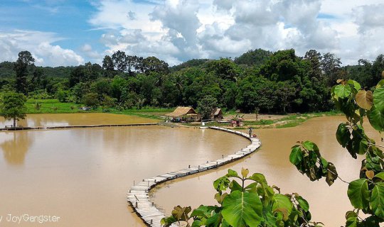 Cover The Tung Nam Mui Bridge in Nakhon Nayok on a Day Without Rice Fields...