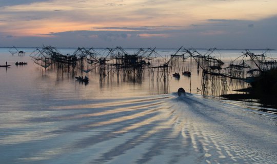 Cover Giant lotus, red lotus, in the middle of the small lake "Phatthalung...