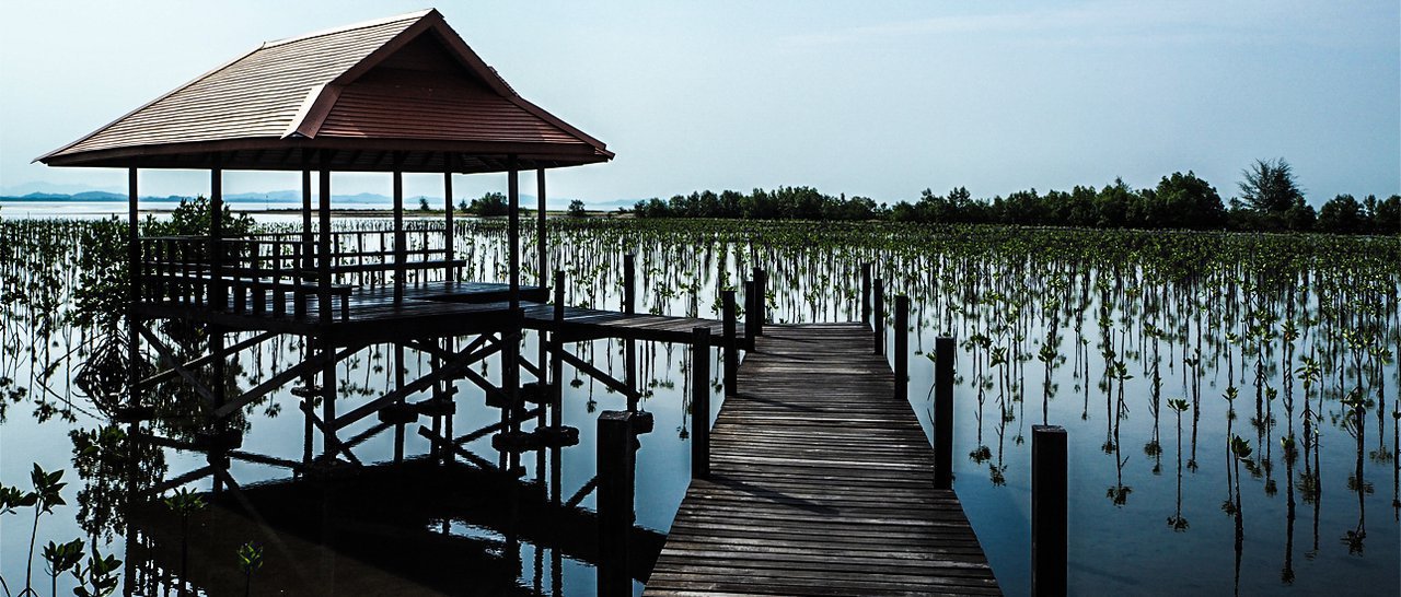 cover One day trip of traveling alone in Rayong