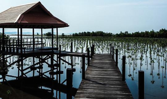 cover One day trip of traveling alone in Rayong