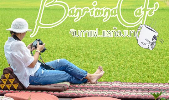 cover House by the Rice Field Cafe | Sipping Coffee with a View of the Rice Fields in Suphan Buri Province