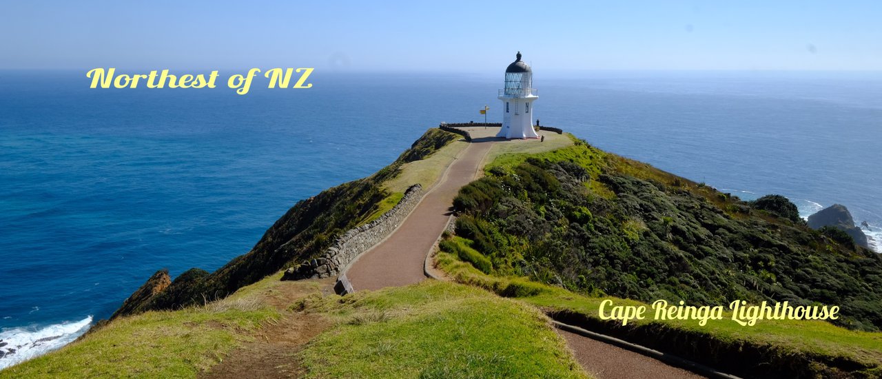 cover Drive to the northernmost tip of New Zealand …1