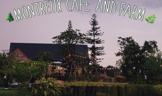 cover Montreux Cafe' and Farm: A scenic cafe amidst the rice fields.