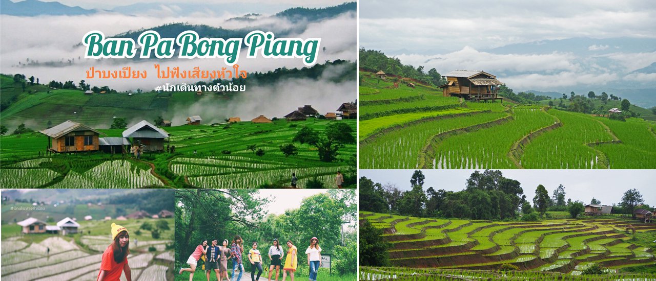 cover Rice Terraces of Pa Bong Piang: Listening to the Heartbeat of the Forest