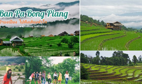 Cover Rice Terraces of Pa Bong Piang: Listening to the Heartbeat of the Fo...