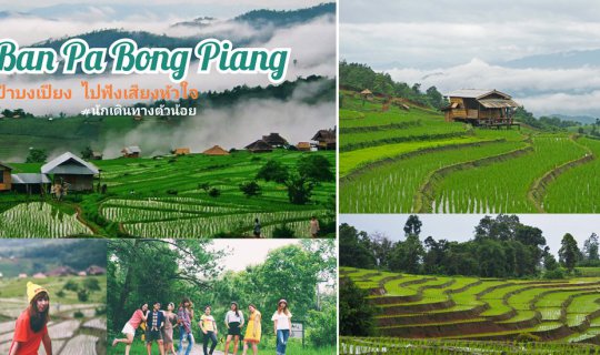 cover Rice Terraces of Pa Bong Piang: Listening to the Heartbeat of the Forest