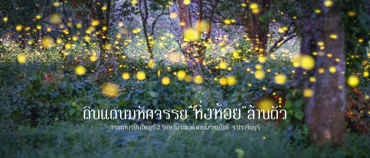 cover Little Boy: Touching the Magic of "Firefly Land" in Prachinburi