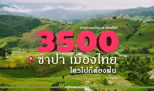 cover 3,500 Baht in Sapa, Thailand: A Guaranteed Delight (Ban Pa Bong Piang)