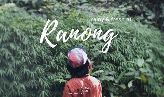 cover Rain falls... lush greenery... in Ranong.
