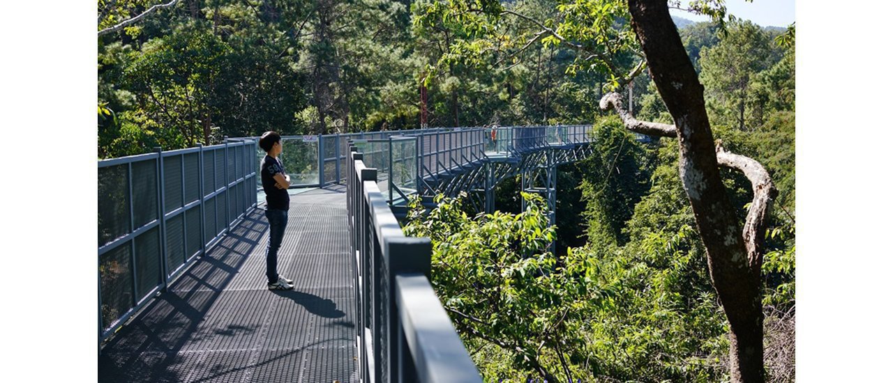 cover ++ Visiting Canopy walkway, sky walk at Queen Sirikit Botanical Garden, Chiang Mai ++