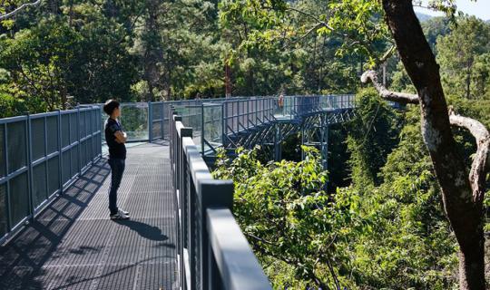 cover ++ Visiting Canopy walkway, sky walk at Queen Sirikit Botanical Garden, Chiang Mai ++