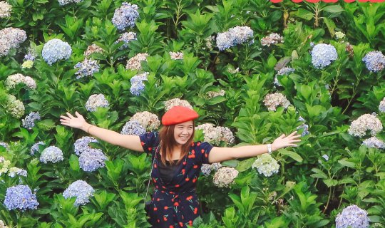 Cover Dalat-Muine: Explore on a Budget!
Enjoy a memorable trip to Dalat-M...