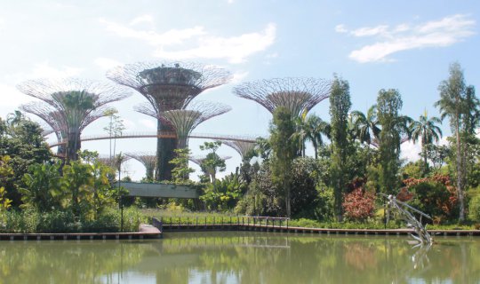 cover Singapore Review: 4 Days 3 Nights Backpack Trip - Still Captivating After Multiple Visits
This review details a 4-day, 3-night backpacking trip to Singapore, highlighting the city's enduring charm even for repeat visitors.