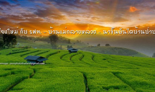 Cover Traveling Chiang Mai with SRT - Ban Pa Pong Piang Rice Terraces - Wa...