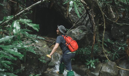 cover "The Last Forest of Lopburi: Sap Langka Forest"