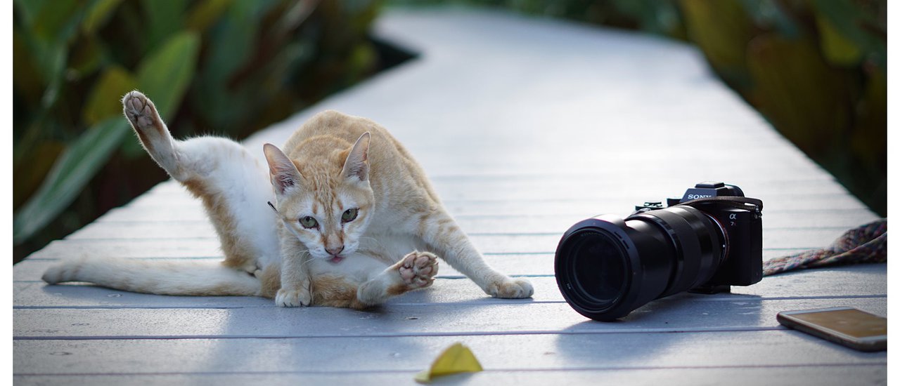cover #Ranong# Home in the Mist / The Hidden Resort: A Trip Focused on Eating and Sleeping