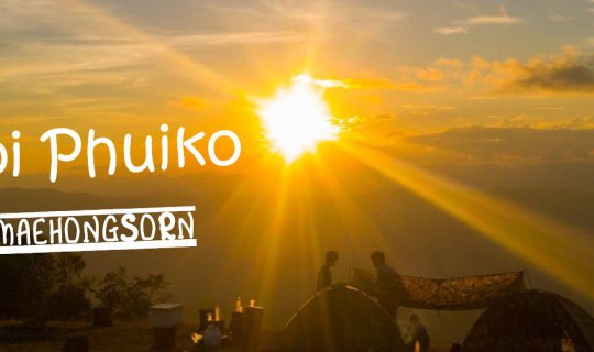 cover Doi Pui Ko, where there are no cows.