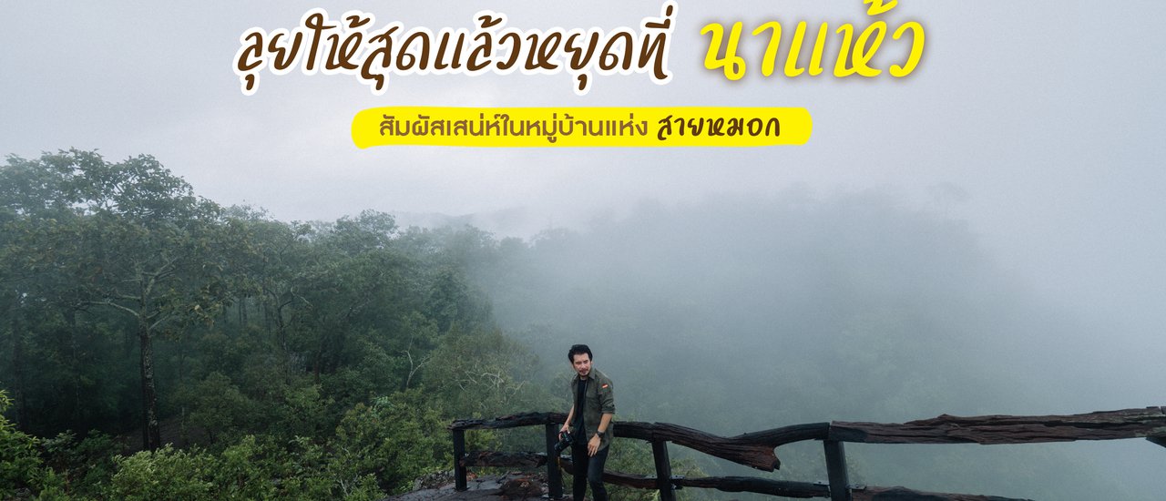 cover Lost in the Mist #17: Exploring the Charm of "Na Naeo", a Village Shrouded in Mist