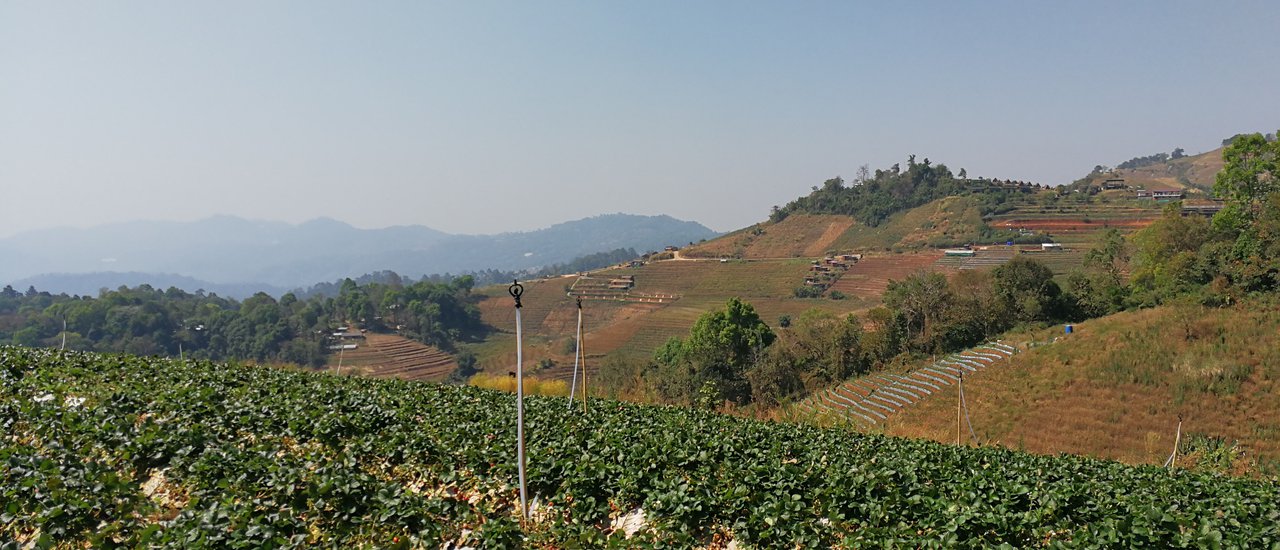 cover Review: Chiang Mai Day Trip - 3 Mountains, Temple Visits, Hot Springs, and Onsen
This review details a one-day trip in Chiang Mai, encompassing visits to three mountains, temples, hot springs, and an onsen experience.