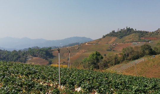 cover Review: Chiang Mai Day Trip - 3 Mountains, Temple Visits, Hot Springs, and Onsen
This review details a one-day trip in Chiang Mai, encompassing visits to three mountains, temples, hot springs, and an onsen experience.