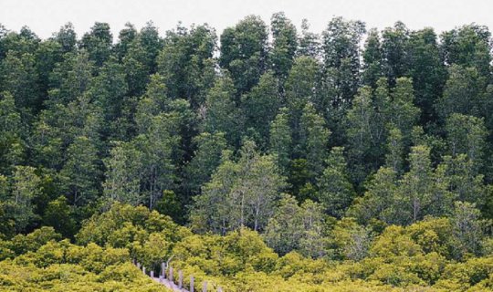 Cover One Day Trip - Pak Nam Prasae... What's so good about it? :)...