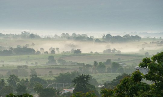 Cover #WangNamKhieo: Witness the majestic Thongdee, a young adult bull, an...