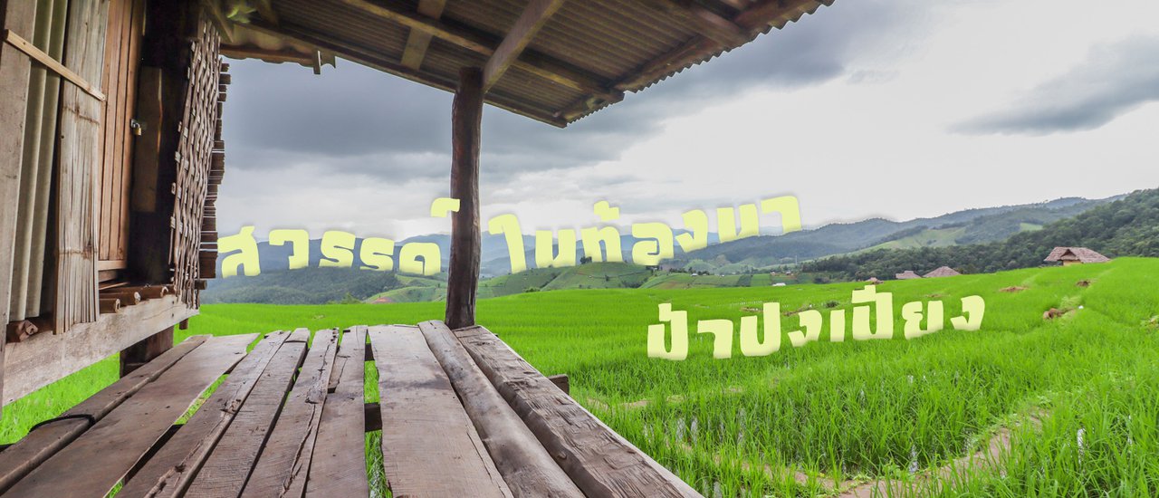 cover .:: Heaven in the Rice Field, Pa Pong Pieng @ Mae Chaem District, Chiang Mai Province ::.