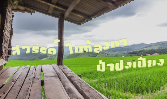 Cover .:: Heaven in the Rice Field, Pa Pong Pieng @ Mae Chaem District, Ch...