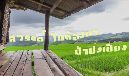 cover .:: Heaven in the Rice Field, Pa Pong Pieng @ Mae Chaem District, Chiang Mai Province ::.